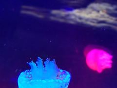 -北海·海洋之窗