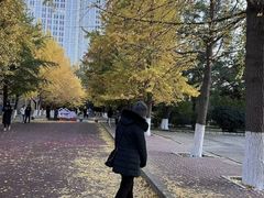 -辽宁大学(崇山校区)