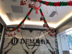 -DEM缔怡美科技美容