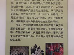 -武汉达临性学生命文化博物馆