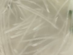 -大家乐东北菜(富河园店)