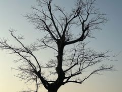 -滆湖低碳生态公园