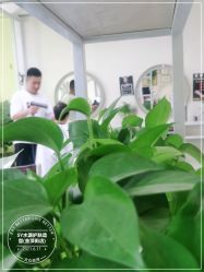 -SY水源护肤造型