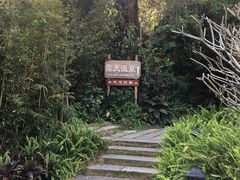 -龙山酒店温泉