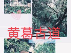 -黄葛古道