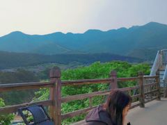 -梨木台悦来客农家院