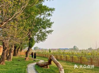 这个民宿真的非常棒 环境是我喜欢的那种灰瓦白墙