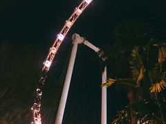 -新加坡摩天观景轮