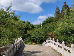 -苏州上方山国家森林公园