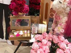 -BEAST野兽派(上海浦东嘉里城店)