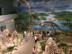 -自贡恐龙博物馆