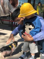 -萌宠亲子动物乐园(槐房万达店)