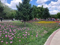 -长春公园(普阳街道)