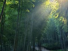 -水墨汀溪风景区
