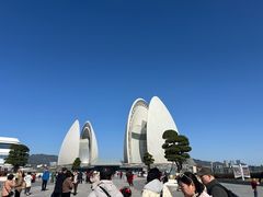 -野狸岛