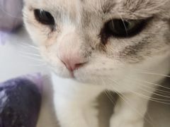-平行世界·猫咖(首经贸店)