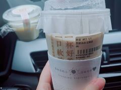 -奈雪的茶(观前街店)