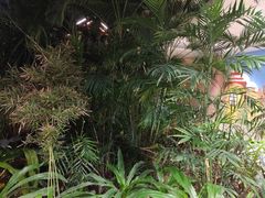 -国信南山温泉