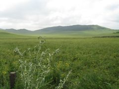 -塞罕坝国家级自然保护区