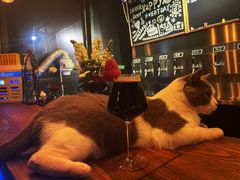 -后院儿·精酿·塔罗Happy Bar
