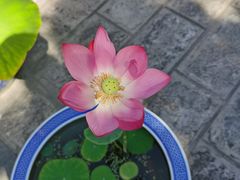 -长安寺