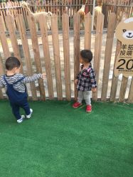 -萌宠亲子动物乐园(槐房万达店)