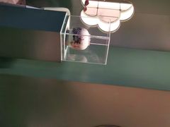 -潮上潮(南中环店)