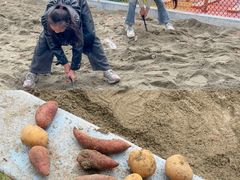 -国色天乡三期陆地乐园
