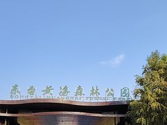 -黄海国家森林公园