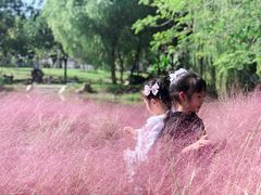 -堤角公园