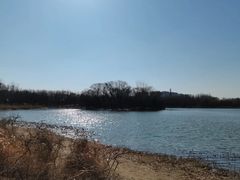 -大兴滨河森林公园