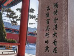 -天津大悲禅院