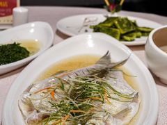 清蒸太湖白鱼-天福苑(崇宁路店)
