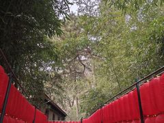 -红螺寺