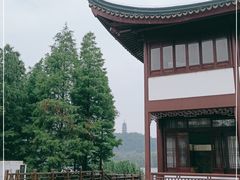 -焦山风景区