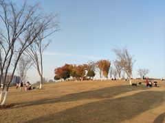 -盘龙城国家考古遗址公园