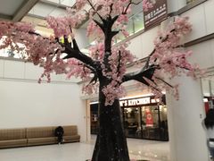-友谊新天地广场(金街店)