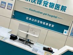-小伙伴宠物医院·CT·骨科·眼科(高新店)