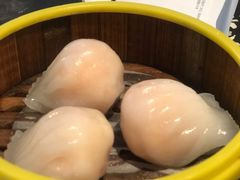 -金香匯晚茶(浑南店)
