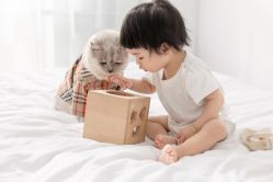 -专注孕妇照亲子照·纪田摄影