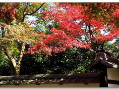 -清凉寺