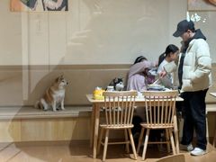-柴の食堂·日式家庭料理·熊之肆(大学路店)