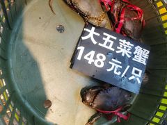-莲花公园煎蟹(总店)