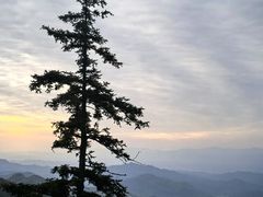-大围山国家森林公园