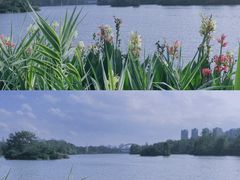 -观山湖公园