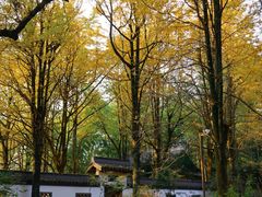 -西湖风景区十里琅珰-五云山