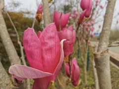 -白鹭湾湿地公园