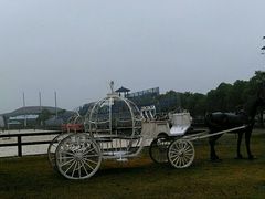 -松声马术俱乐部