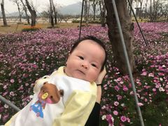 -芒洲湿地公园