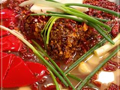 -黄潇洒老火锅(九眼桥宏济巷店)